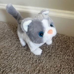 Paw Pals Cloud the Kitten